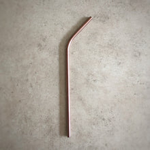 Load image into Gallery viewer, Metal Straw