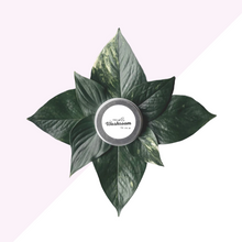 Load image into Gallery viewer, For Lips - Lip Balm